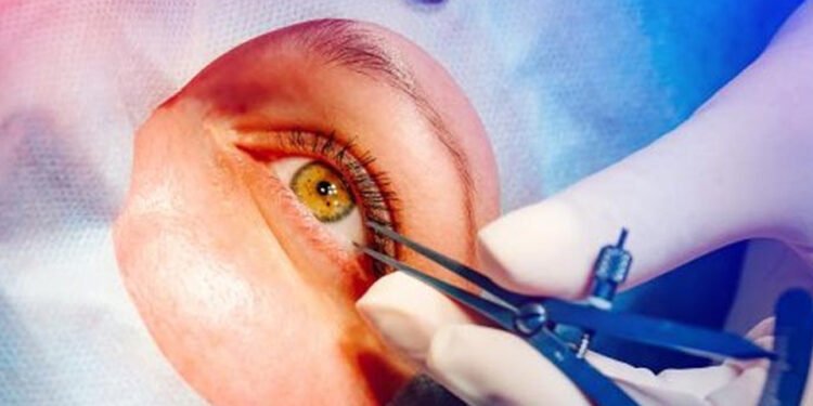 एक आँखाबाट दुई जनालाई दृष्टि : तस्विर