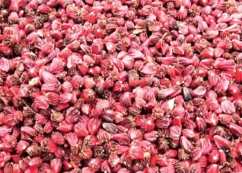 अलैँचीको निर्यात ४४ प्रतिशतले बढ्यो