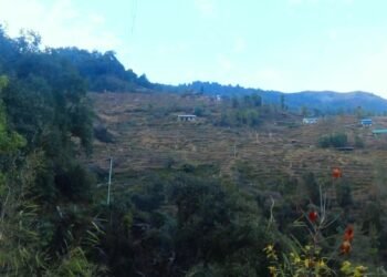 भोजपुरको टेम्केमैयुङमा केन्द्रीय विद्युत् विस्तार