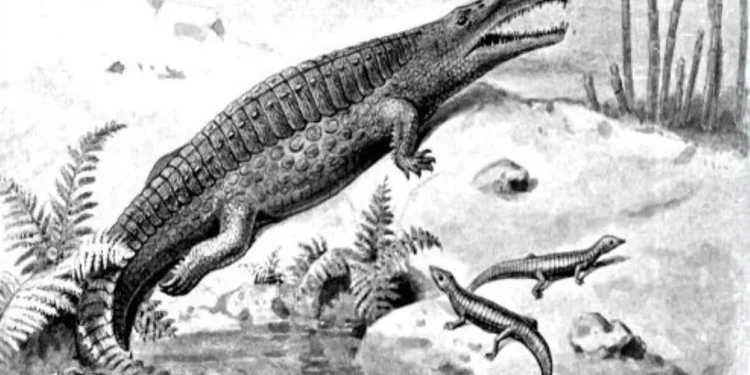 भेटियो २० करोड बर्ष पुरानो, डायनासाेर भन्दा अघिकाे ‘रूख छेपारो’को जिबाष्मा