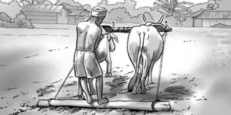 मुक्तिका १७ वर्षः अझै पूरा भएन मुक्त हलिया पुनःस्थापना