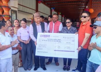 सरकारको पुनर्निर्माण कोषमा सहयोग
