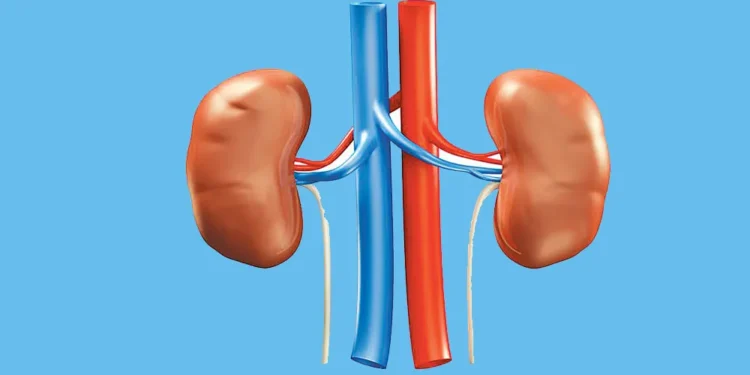 सावधान ! यस्ता संकेत देखिए मिर्गौलाको परीक्षण गराउनुहोस्