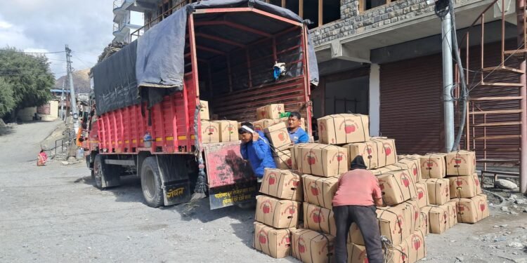 मुस्ताङमा यस वर्ष रु एक अर्बभन्दा बढीको स्याउ उत्पादन