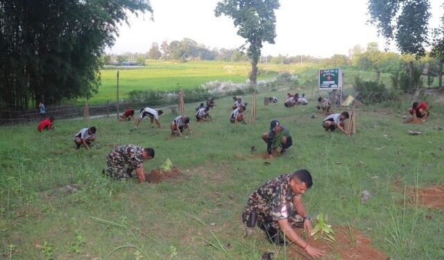 प्रकृति संरक्षणमा नौ हजार सेना