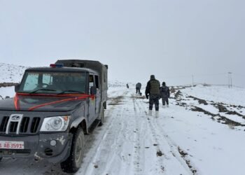 लाङ्टाङ तथा गोसाइँकुण्ड क्षेत्रमा हिमपातः पर्यटक उत्साहित