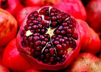 दैनिक एक दाना अनारको सेवन गर्नु यति धेरै लाभदायी