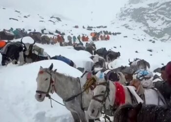 हिम आँधीले सगरमाथामा सयौँ पर्वतारोही फसे, उद्धार जारी