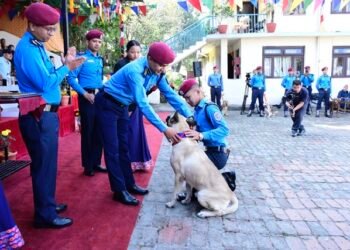 नेपाल प्रहरी केनाइन कार्यालयमा कुकुर पूजा, ‘टाइगर’ कुकुर पुरस्कृत