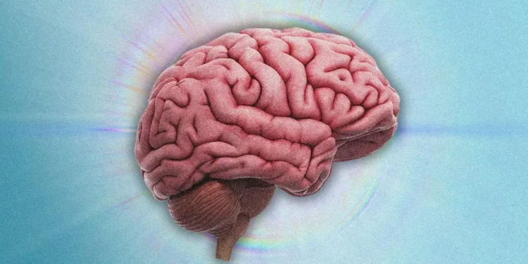 डिमेन्सियाले अष्ट्रेलियाली समाजमा गहिरो असर, महिलामा बढी प्रभाव