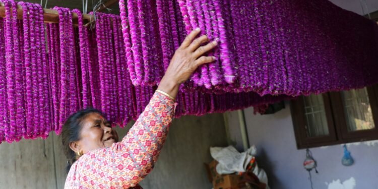 मखमली फूलले आत्मनिर्भर बन्दै महिला