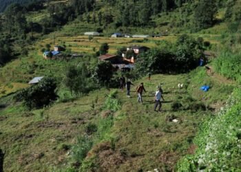 झाडी फाडेर फलफूलखेती