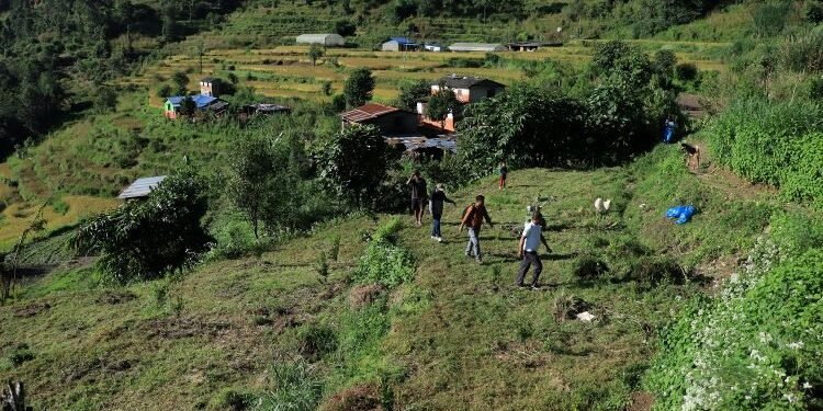 झाडी फाडेर फलफूलखेती