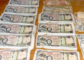 नेपाली नोटमा नेपाल संवतको प्रयोग गर्न माग