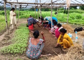 सामूहिक खेतीबाट मनग्य आम्दानी गर्दै महिला