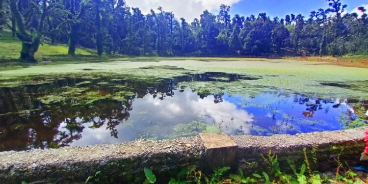 धमाधम सुक्न थाले ताल, संरक्षणमा चुनौती