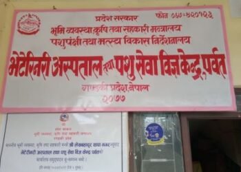 पशुपालक किसानलाई आत्मनिर्भर बनाउन रु ८० लाख अनुदान