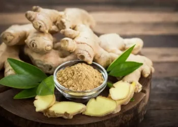 स्वादिलो मसलाजन्य परिकार अदुवाका ७ फाइदा