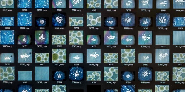 मानव मिनी–मस्तिष्कले चलाउँदैछ नयाँ पुस्ताको कम्प्युटर ‘वेटवेयर’