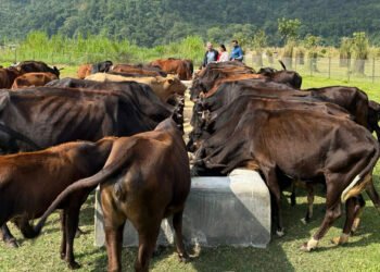 ‘दाता’को सहयोगले गौ संरक्षण केन्द्र सञ्चालनमा सहज
