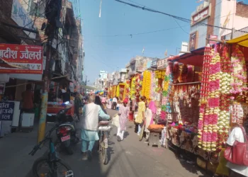 पुष्पखेती घट्दै गएपछि नेपालगञ्जमा फूलको अभाव