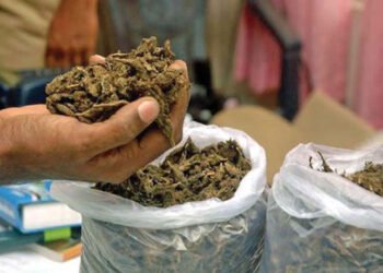 सिरहाबाट दुई क्विन्टल गाँजा बरामद