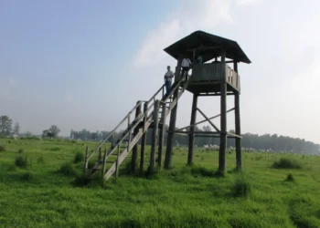 शुक्लाफाँटा राष्ट्रिय निकुञ्जमा जङ्गल सफारीका लागि रुट कायम