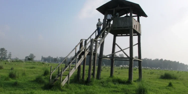 शुक्लाफाँटा राष्ट्रिय निकुञ्जमा जङ्गल सफारीका लागि रुट कायम