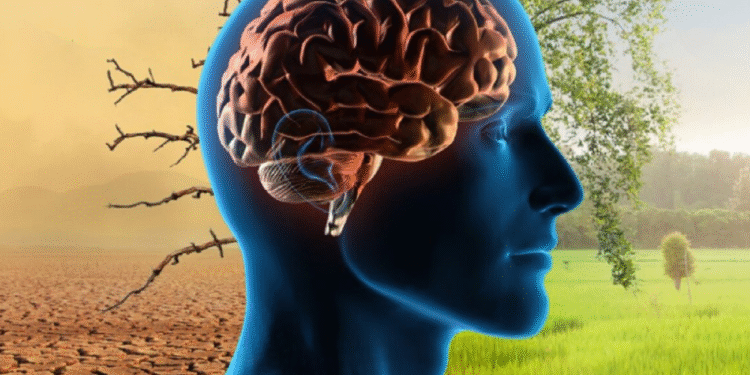 विश्व झन्‌झन् तातो हुँदै, मनुष्यको मस्तिष्कमा पर्दैछ प्रत्यक्ष प्रभाव