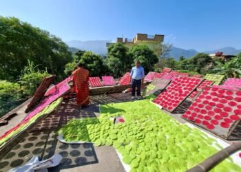 झनियाँको माग बढ्दो, व्यवसायीलाई उत्पादन गर्न भ्याइनभ्याई