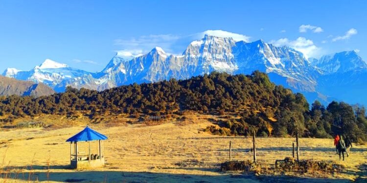 सडक नखुल्दा जलजला पुग्न पाएनन् पर्यटक