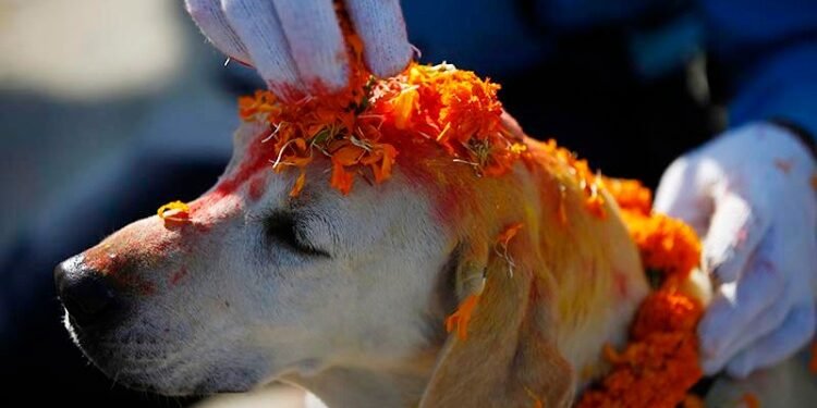 तिहारको तेस्रो दिन : नरक चतुर्दशी, कुकुर तिहार