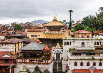 स्थानीय गाई संरक्षणको लागि पशुपतिनाथमा ‘गो संरक्षण सहस्र’ अर्चना