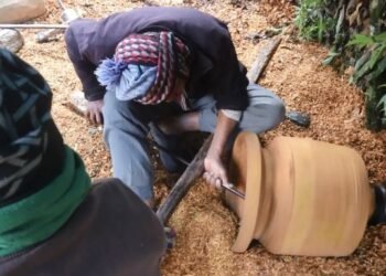 संरक्षणका पखाइमा चुदारा पेसा