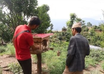 व्यावसायिक मौरीपालनमा किसान आकर्षित