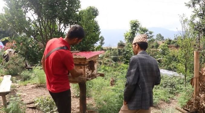 व्यावसायिक मौरीपालनमा किसान आकर्षित