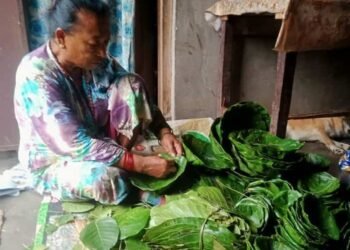 दुना टपरी बिक्रीबाट आकर्षक आम्दानी