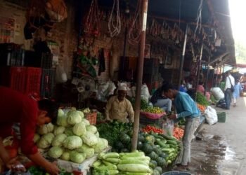 तरकारीमा विषादीको मात्रा बढ्दो