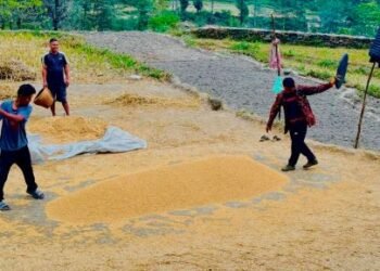 पर्वतमा ६५ करोडको कृषिजन्य वस्तुको कारोबार