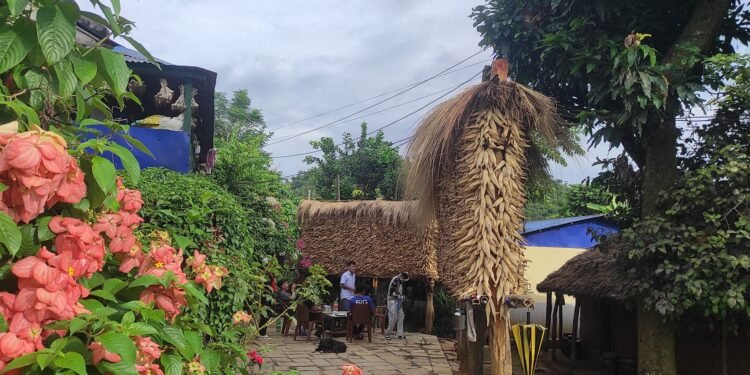 तनहुँमा मकै उत्पादन बढ्यो