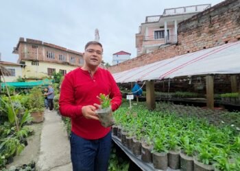 नर्सरीबाट वार्षिक ४० लाख आम्दानी