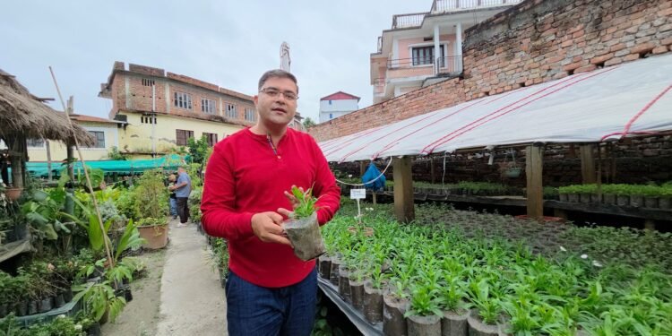 नर्सरीबाट वार्षिक ४० लाख आम्दानी