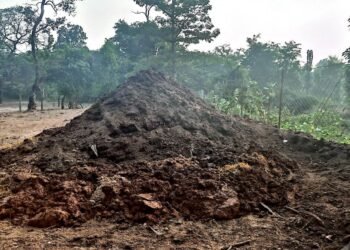 प्राङ्गारिक मलको प्रयोगले माटोको उर्वराशक्ति बढ्यो