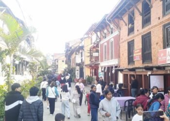 बन्दीपुरका होटलमा पर्यटक भरिभराउ हुँदा व्यवसायी उत्साहित