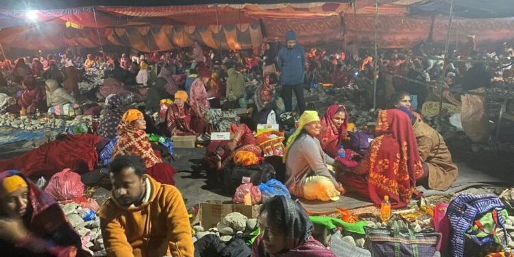 देवघाटधाममा शतबीज छर्ने घुइँचो