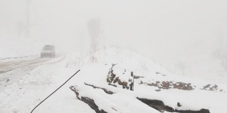 एक विदेशी आरोहीको उद्धार, दुईको खोजीकार्य जारी