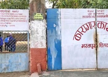 वन्यजन्तु चोरीशिकारीका तस्कर कारागार नफर्किंदा संरक्षणमा चुनौती