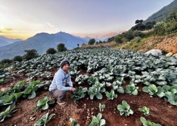 तीन दशकपछि गाउँ फर्किएर तरकारी खेतीमा रमाउँदै कमलप्रसाद