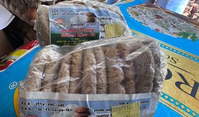 ‘कोदो गरिबको खाना’ भनेर हेप्ने दिन गए : बिष्कुटको माग उच्च, पाउरोटी बनाउने तयारी