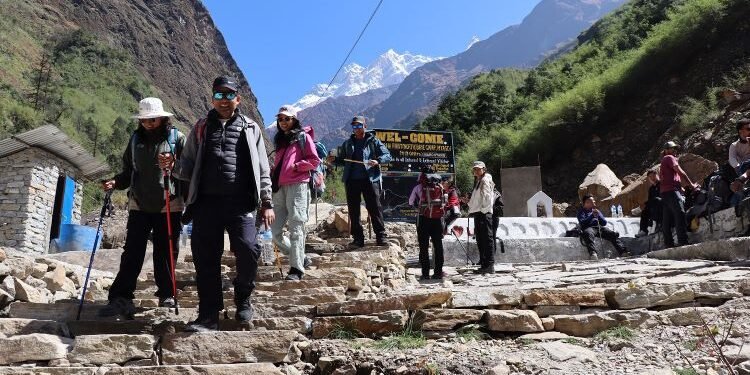 ‘मौरिस हर्जोग’ पदमार्ग पुनःसञ्चालन